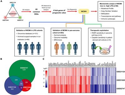 MCM4 Is a Novel Biomarker Associated With Genomic Instability, BRCAness Phenotype, and Therapeutic Potentials in Soft-Tissue Sarcoma